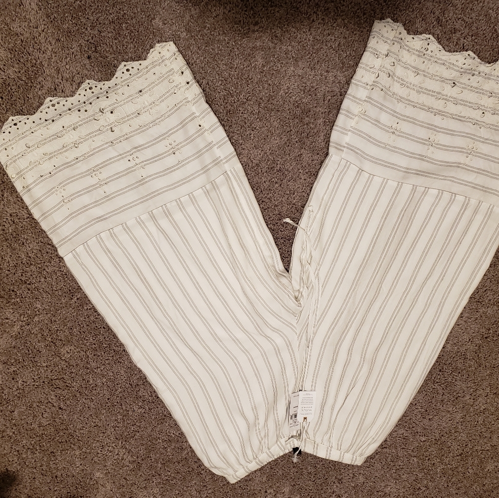 AE gauchos